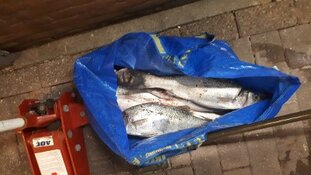 Zes mannen aangehouden voor visstroperij