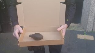 Verdacht pakketje hoofdbureau politie blijkt handgranaat uit WO II