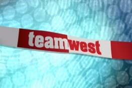 Brandstichting van auto in Team West