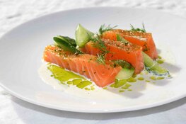 Waterkant ("De Bootjes"): van Theeschenkerij naar Restaurant