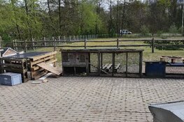 Dumping hanen groot probleem in Den Haag en omgeving