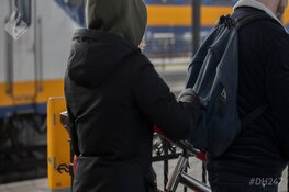 Zakkenroller aangehouden in Delft