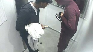 Gezocht: Diefstal met geweld Waldorpstraat Den Haag