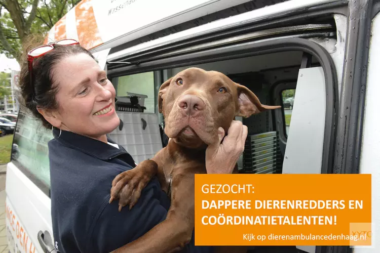 Dierenambulance Den Haag zoekt dappere dierenredders en coördinatietalenten