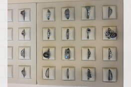 Verkeerscontrole leidt tot vondst van gestolen sieraden