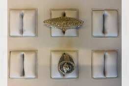 Verkeerscontrole leidt tot vondst van gestolen sieraden