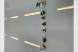 Verkeerscontrole leidt tot vondst van gestolen sieraden