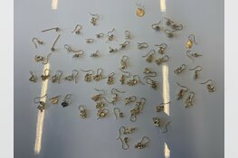 Verkeerscontrole leidt tot vondst van gestolen sieraden