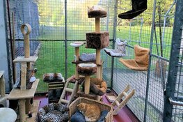 Inrichting gezocht voor Seniorenclub NDZ