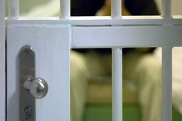 Celstraf geëist voor stichten autobranden