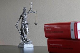 Speciale politierechterzitting over ongeregeldheden Malieveld