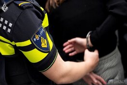 Man aangehouden voor mishandelen agent