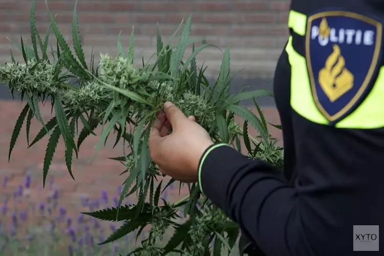 Hennepkwekerij aangetroffen na melding over vuurwapen