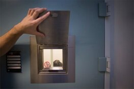 Gevangenisstraf voor doodslag in Rijswijk