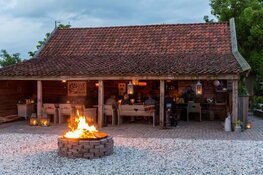 Boerderij De Fryhof: de rust om beslissingen te nemen