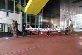 De bomen van Amelisweerd eisen dat ze mogen blijven