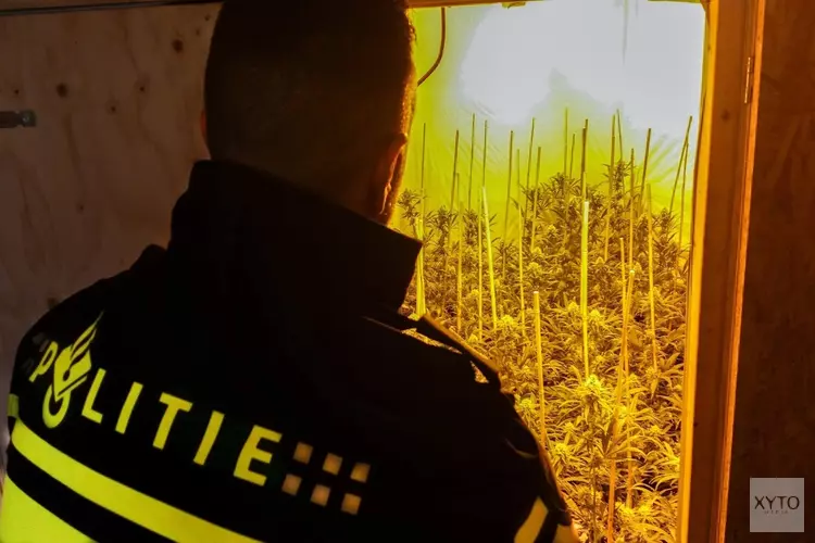 Leidenaar aangehouden in hennepkwekerij