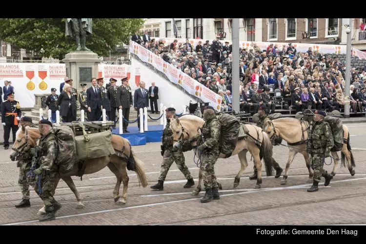 Nederlandse Veteranendag: bereikbaarheid binnenstad