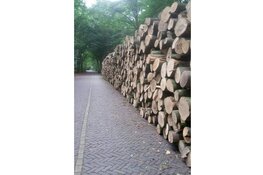 Vanaf maandag 18 juli 2022 twee maanden werkzaamheden in het Haagse Bos