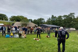 Open dag Dierenambulance Den Haag groot succes