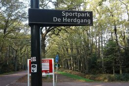 Vrouwen PSV en ADO Den Haag delen de punten