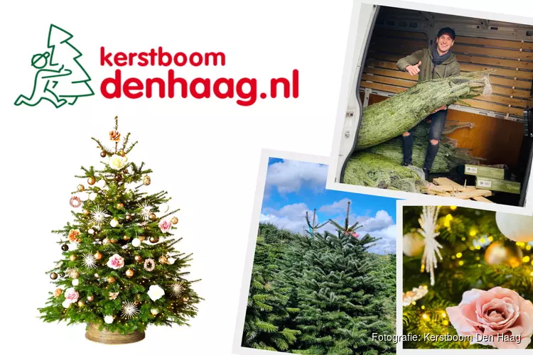 Een echte kerstboom kopen? Dat doe je bij Kerstboom Den Haag