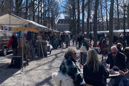 Zeldzaam Mooi Markt Lange Voorhout in Den Haag