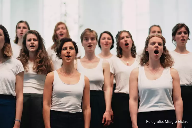Concert Transparant van het Nederlands studenten kamerkoor verbindt