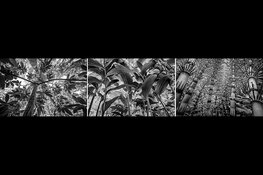 Fototentoonstelling 'De Groene Camera 2023' vanaf 15 april in Museon-Omniversum