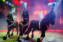 Circus Renz Berlin komt naar Den Haag