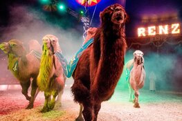Circus Renz Berlin komt naar Den Haag