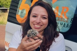 Babymeeuw in afzuigkap