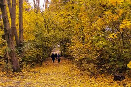 Nootdorpse Herfstwandelingen én Dobbeloop op zondag 22 oktober