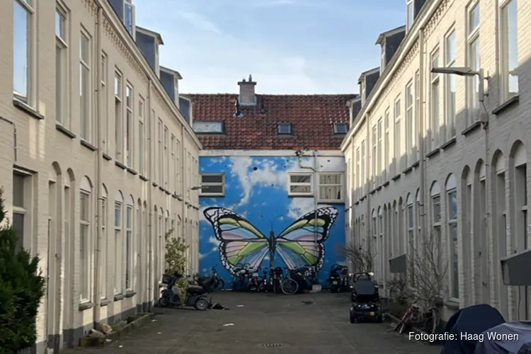 Start van verbeteren en verduurzamen Haags hofje aan de Zoutkeetsingel