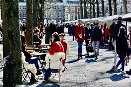 Zeldzaam Mooi Markt Prins Hendrikplein in Den Haag