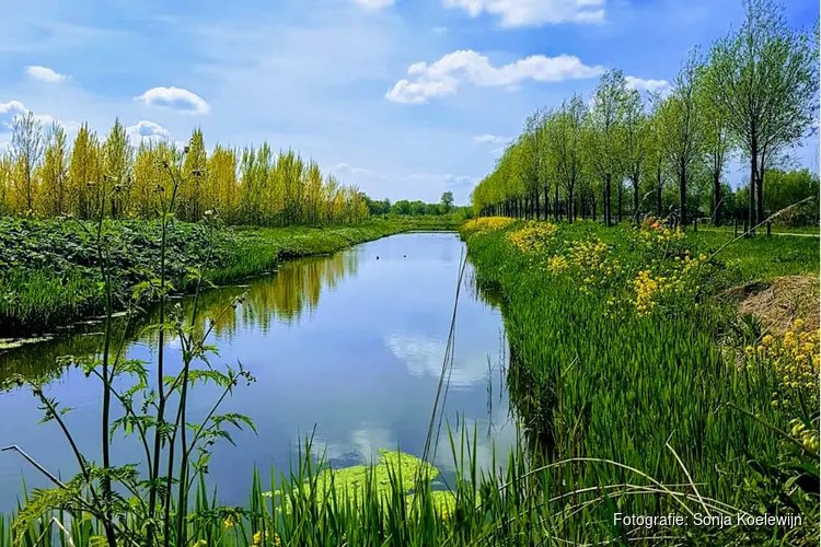 Lentewandeltocht op zondag 5 mei 2024