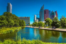 Duurzaamheid in Den Haag: initiatieven en tips