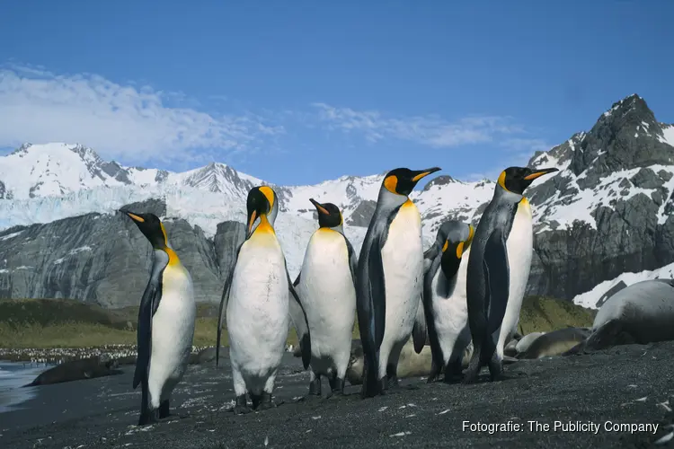 Grootbeeldfilm 'Animal Kingdom' en dierenactiviteiten in Museon-Omniversum