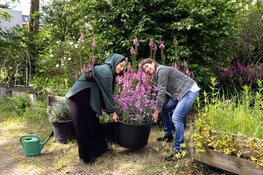 Recordaantal bezoekers aan derde editie BlowUp Art Den Haag: ruim 47.000 mensen