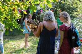 Mini-Festival Bewust Groeien in het Haagse Eetbaar Park