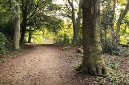 Herfstwandeling én Dobbeloop op zondag 27 oktober