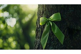 Wie nomineer jij voor het Groene Lintje?