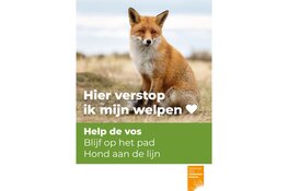 Dieren in Nationaal Park Hollandse Duinen vragen om rust