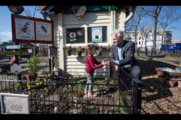 Zuid-Holland zet de bloemetjes buiten voor de wijkbijen