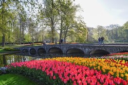 Nieuwe expresbus tussen Den Haag en Keukenhof