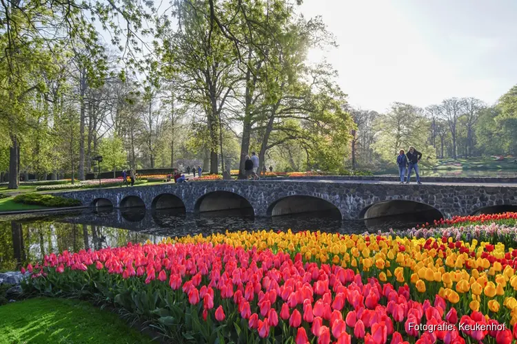 Nieuwe expresbus tussen Den Haag en Keukenhof