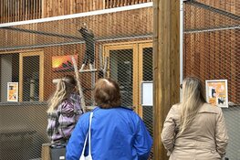 Rondleidingendag bij Dierenambulance Den Haag