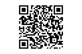 Scheveningse kunstenaars openen hun deuren tijdens Kunstroute 2025