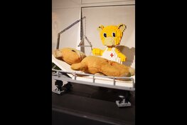 Kunstenaar Dirk Denoyelle organiseert bouwwedstrijd bij LEGO® tentoonstelling Bricks of Wonder®