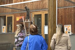 Neem zondag 26 oktober een kijkje achter de schermen bij Dierenambulance -en hospitaal Den Haag e.o.